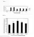 Fig. 12 - Method Of Using Mitotically Inactivated Stem Cells For Damaged Tissue Repair