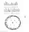 Fig. 02 - Antibacterial phage, phage peptides and methods of use thereof