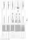 Fig. 11 - Antibacterial phage, phage peptides and methods of use thereof