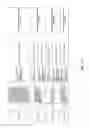 Fig. 131 - Antibacterial phage, phage peptides and methods of use thereof