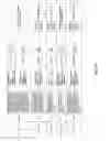 Fig. 153 - Antibacterial phage, phage peptides and methods of use thereof