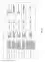 Fig. 158 - Antibacterial phage, phage peptides and methods of use thereof