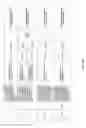 Fig. 166 - Antibacterial phage, phage peptides and methods of use thereof