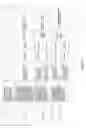 Fig. 174 - Antibacterial phage, phage peptides and methods of use thereof