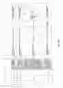 Fig. 178 - Antibacterial phage, phage peptides and methods of use thereof
