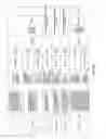 Fig. 201 - Antibacterial phage, phage peptides and methods of use thereof
