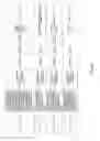Fig. 205 - Antibacterial phage, phage peptides and methods of use thereof