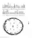 Fig. 28 - Antibacterial phage, phage peptides and methods of use thereof