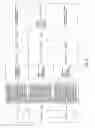 Fig. 47 - Antibacterial phage, phage peptides and methods of use thereof