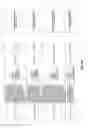 Fig. 60 - Antibacterial phage, phage peptides and methods of use thereof