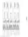 Fig. 63 - Antibacterial phage, phage peptides and methods of use thereof