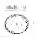 Fig. 77 - Antibacterial phage, phage peptides and methods of use thereof