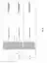 Fig. 86 - Antibacterial phage, phage peptides and methods of use thereof