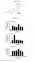 Fig. 06 - NOVEL COMPOSITION FOR TREATING ALZHEIMER'S DISEASE AND IMPROVING COGNITIVE FUNCTION OF ALZHEIMER'S PATIENTS