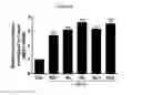 Fig. 08 - NOVEL COMPOSITION FOR TREATING ALZHEIMER'S DISEASE AND IMPROVING COGNITIVE FUNCTION OF ALZHEIMER'S PATIENTS