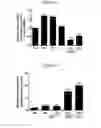 Fig. 11 - NOVEL COMPOSITION FOR TREATING ALZHEIMER'S DISEASE AND IMPROVING COGNITIVE FUNCTION OF ALZHEIMER'S PATIENTS
