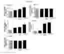 Fig. 12 - NOVEL COMPOSITION FOR TREATING ALZHEIMER'S DISEASE AND IMPROVING COGNITIVE FUNCTION OF ALZHEIMER'S PATIENTS