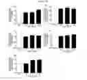 Fig. 14 - NOVEL COMPOSITION FOR TREATING ALZHEIMER'S DISEASE AND IMPROVING COGNITIVE FUNCTION OF ALZHEIMER'S PATIENTS