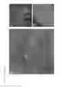 Fig. 07 - THERAPEUTIC METHODS FOR TREATING SOLID TUMORS AND RELATED DIAGNOSTIC METHODS