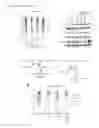 Fig. 17 - THERAPEUTIC METHODS FOR TREATING SOLID TUMORS AND RELATED DIAGNOSTIC METHODS