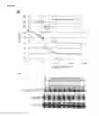 Fig. 18 - THERAPEUTIC METHODS FOR TREATING SOLID TUMORS AND RELATED DIAGNOSTIC METHODS
