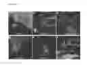 Fig. 27 - THERAPEUTIC METHODS FOR TREATING SOLID TUMORS AND RELATED DIAGNOSTIC METHODS