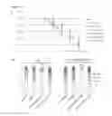Fig. 30 - THERAPEUTIC METHODS FOR TREATING SOLID TUMORS AND RELATED DIAGNOSTIC METHODS