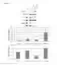 Fig. 32 - THERAPEUTIC METHODS FOR TREATING SOLID TUMORS AND RELATED DIAGNOSTIC METHODS