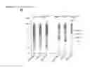 Fig. 40 - THERAPEUTIC METHODS FOR TREATING SOLID TUMORS AND RELATED DIAGNOSTIC METHODS