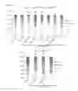 Fig. 43 - THERAPEUTIC METHODS FOR TREATING SOLID TUMORS AND RELATED DIAGNOSTIC METHODS