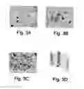 Fig. 04 - Agent derived from tortoise spleen stimulating mammalian hemopoiesis