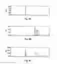 Fig. 07 - Agent derived from tortoise spleen stimulating mammalian hemopoiesis