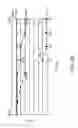 Fig. 18 - Agent derived from tortoise spleen stimulating mammalian hemopoiesis