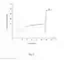 Fig. 04 - Agent for Eliminating Multidrug Resistance