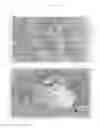 Fig. 29 - A METHOD FOR TREATING TUMOR BY USING RECOMBINANT INTERFERON WITH CHANGED SPATIAL CONFIGURATION
