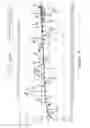 Fig. 06 - Insulin-containing infant formula