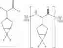 Fig. 06 - MHC-I restricted epitopes containing non-natural amino acid residues