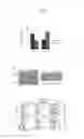 Fig. 04 - COMPOSITIONS AND METHODS FOR TREATING AUTOIMMUNE DISEASES