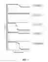 Fig. 02 - Rapid and prolonged immunologic-therapeutic
