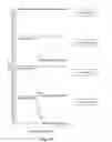 Fig. 04 - Rapid and prolonged immunologic-therapeutic