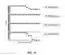 Fig. 17 - Rapid and prolonged immunologic-therapeutic