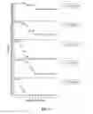 Fig. 19 - Rapid and prolonged immunologic-therapeutic