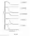 Fig. 20 - Rapid and prolonged immunologic-therapeutic