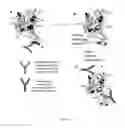Fig. 02 - Immunogenic human rhinovirus (HRV) compositions
