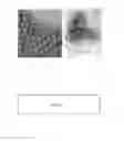 Fig. 07 - Immunogenic human rhinovirus (HRV) compositions