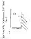 Fig. 07 - Computationally optimized broadly reactive antigens for human and avian H5N1 influenza