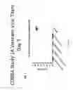 Fig. 08 - Computationally optimized broadly reactive antigens for human and avian H5N1 influenza
