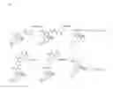 Fig. 06 - 6-acetylmorphine analogs, and methods for their synthesis and use