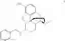 Fig. 20 - 6-acetylmorphine analogs, and methods for their synthesis and use