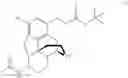 Fig. 25 - 6-acetylmorphine analogs, and methods for their synthesis and use